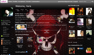 Orkut Skull Theme Orkut Skull Theme