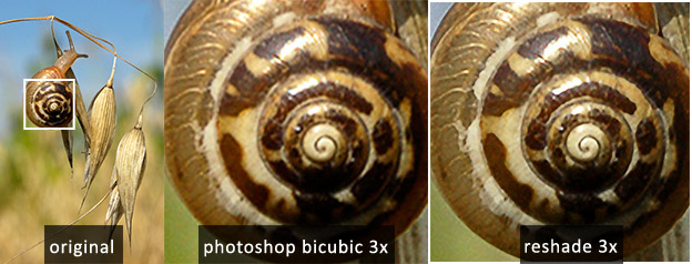 Comparison Small Comparison Small