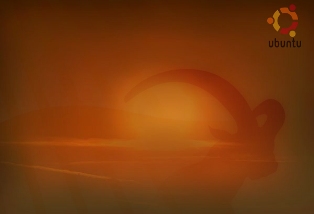 sunsetbio sunsetbio