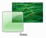 Grass