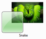 Snake