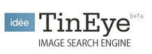 TinEye Revese Image Search Engine