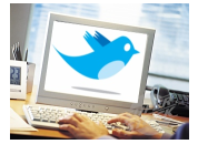 Use Twitter at Work