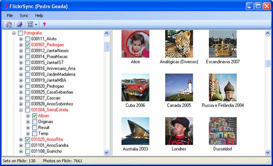 FlickrSync Main Window FlickrSync Main Window