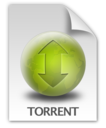 Torrent File Icon