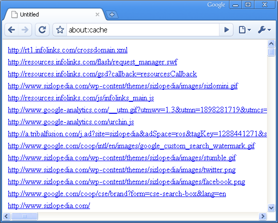 google chrome about cache