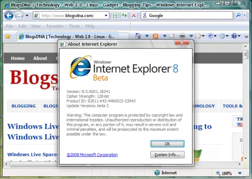 Portable Internet Explorer 8 Beta 2