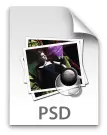 PSD Image Icon