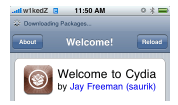 Cydia Crashing on iPhone 3.0