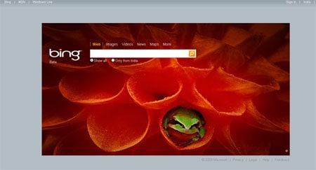 Bing with BackGround Image