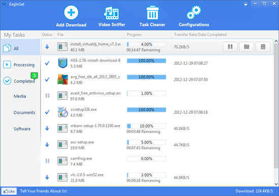 EagleGet Categories File Downloads