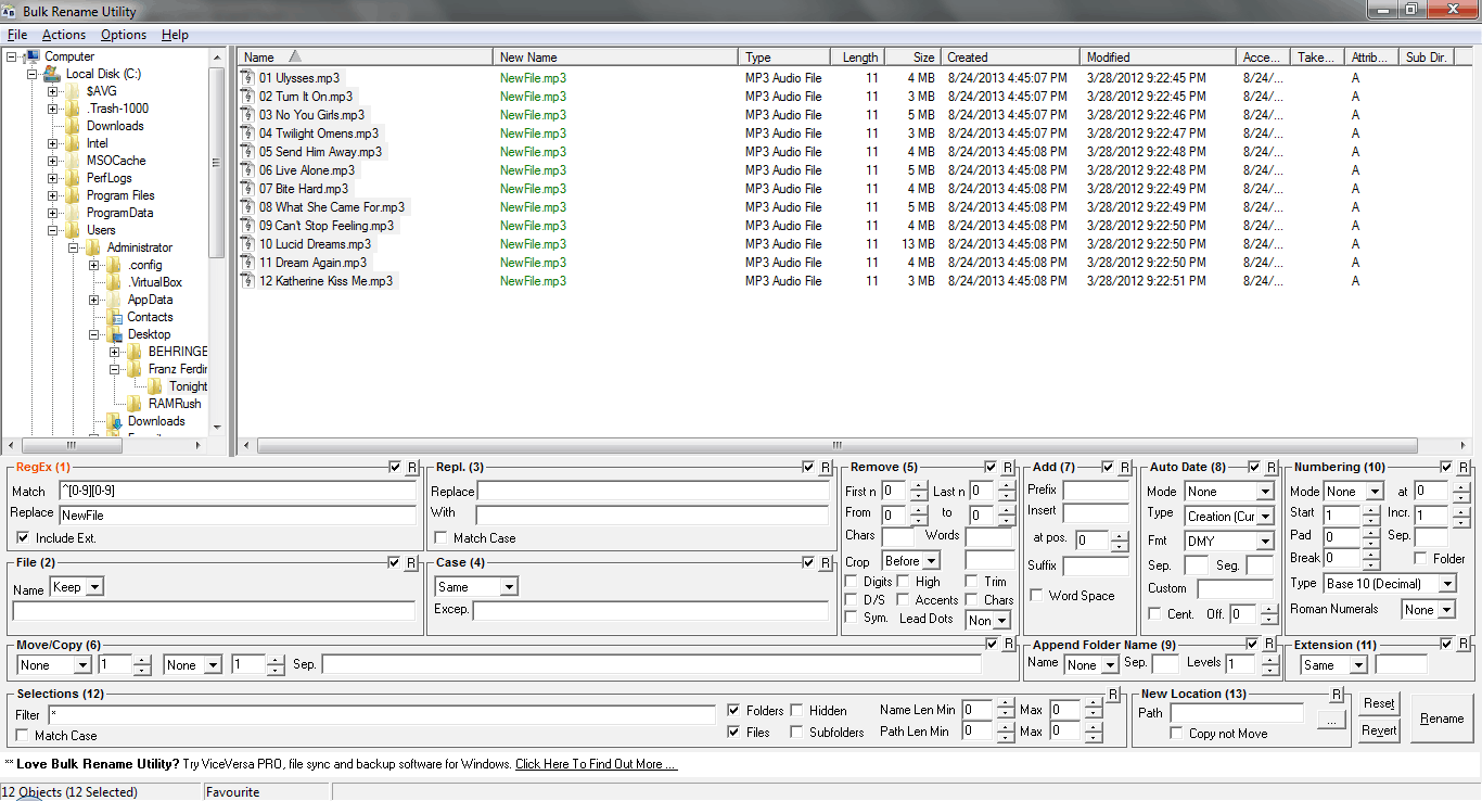 Bulk Rename Utility 01