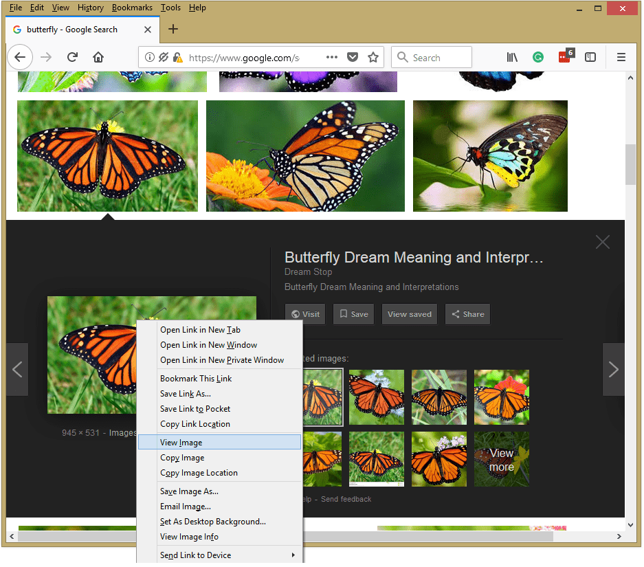 Firefox View Image Option