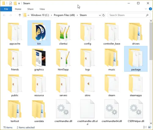 Steam Bin and Package Folder