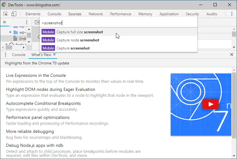 Chrome Webpage Screenshot Action Command