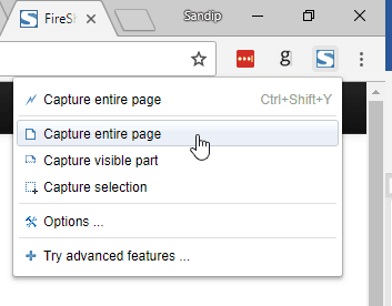 Fireshot Lite Chrome Extension