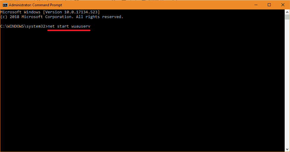 Command prompt (net start wuauserv) command