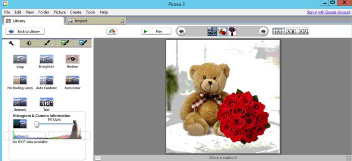 Picasa Picture Viewer