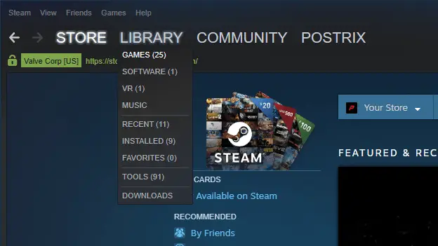Steam Game Library