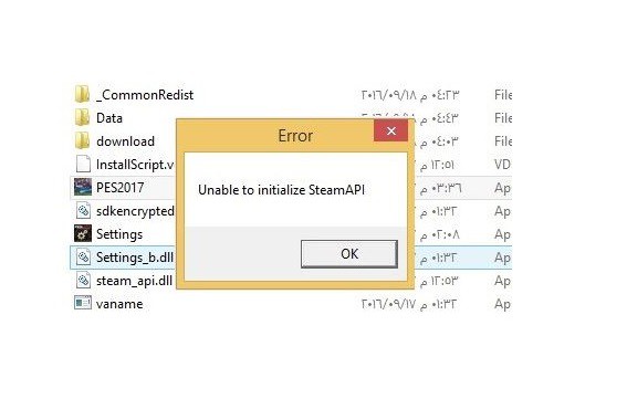 Fix Unable to Initialize Steam API