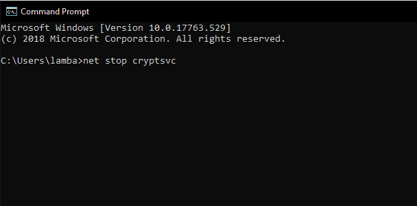 net stop cryptsvc