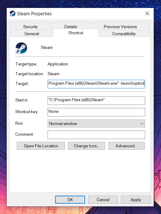 steam client launch option