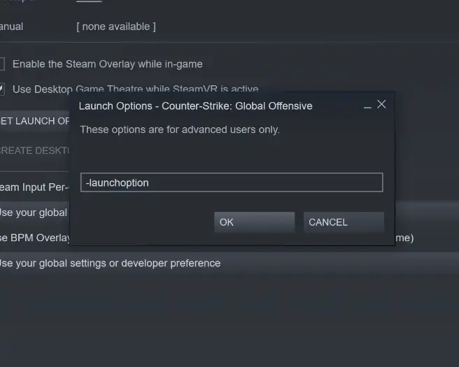 steam game launch options