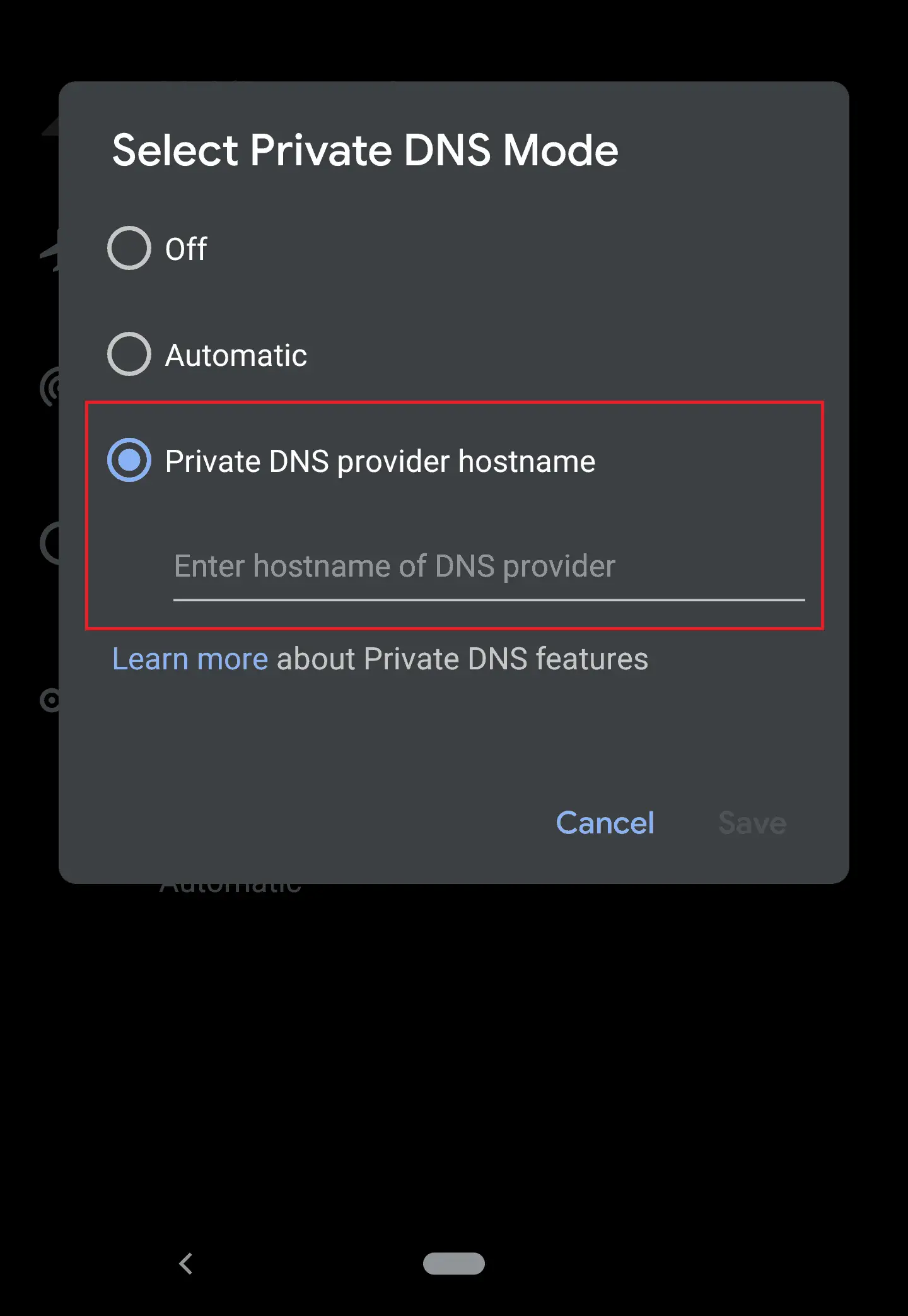 Private DNS hostname
