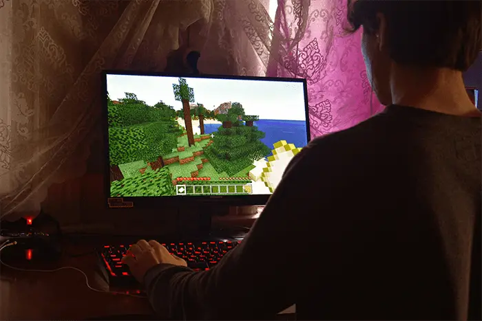 User Playing Minecraft