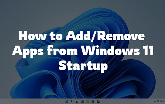 Windows 11 Add/Remove Apps From Startup