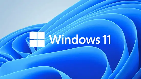 Windows 11 - Bypass Internet Setup Requirement