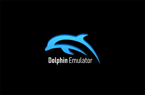 Dolphin Emulator Controller Error