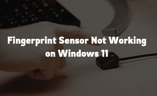 Fingerprint Sensor Not Working