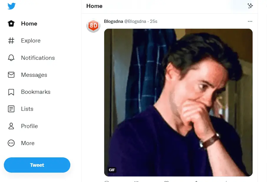 Twitter Gif Not Playing