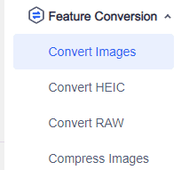 Feature Conversion