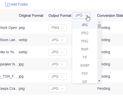 Output Format