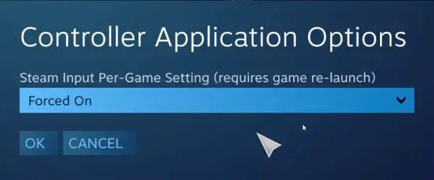 Controller Application Option - Forced On - Big Picture Mode