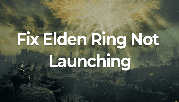 Elden Ring Not Launching on Pc