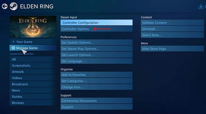 Steam Manage Games - Controller Options - Big Picture Mode